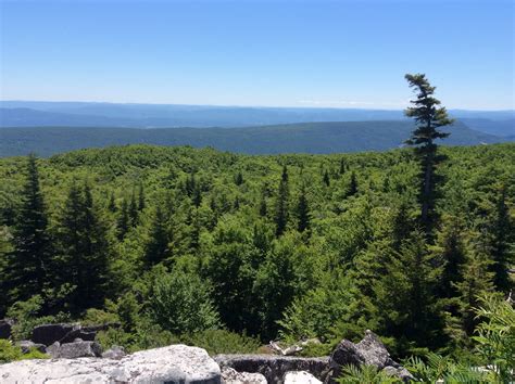 cheap dolly sods wilderness area hotels